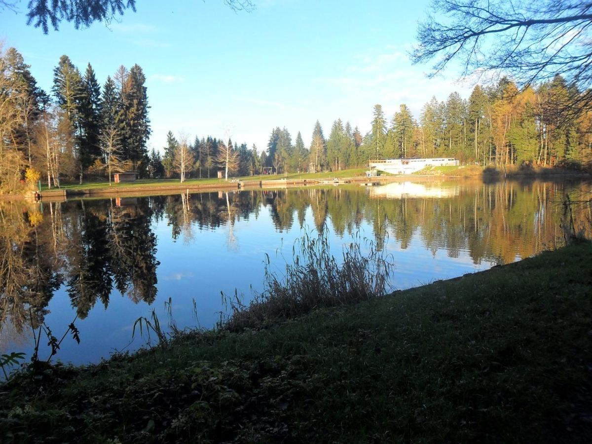 Landhof Zitzler Lägenhet Opfenbach Exteriör bild